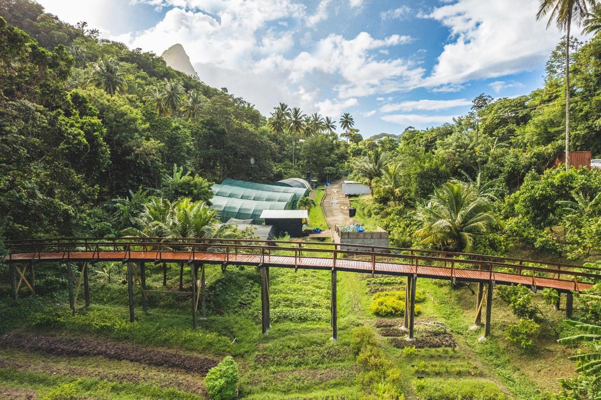 Rabot Hotel From Hotel Chocolat Soufriere Exterior photo