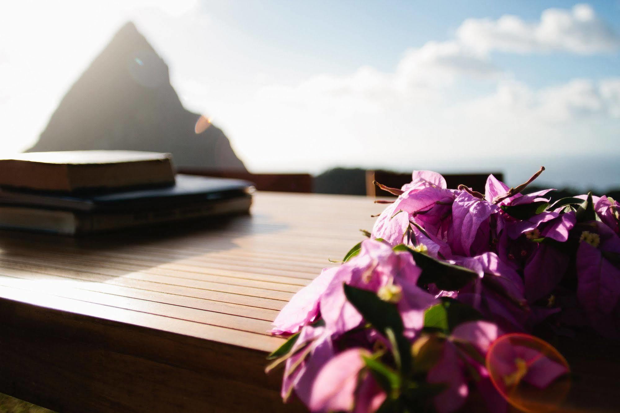 Rabot Hotel From Hotel Chocolat Soufriere Exterior photo